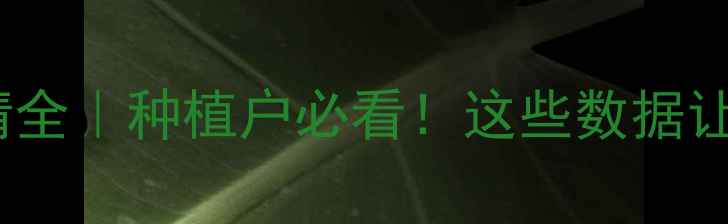 图片 🌶️辣椒价格行情全｜种植户必看！这些数据让你少走3年弯路📊