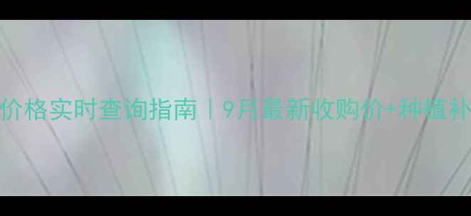 图片 🌽四川玉米价格实时查询指南｜9月最新收购价+种植补贴政策解读