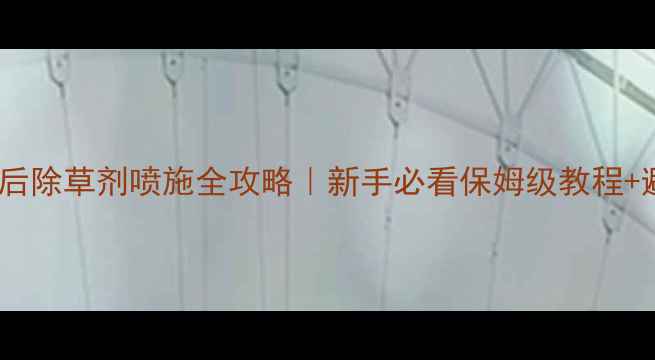 图片 🌽玉米苗后除草剂喷施全攻略｜新手必看保姆级教程+避坑指南2