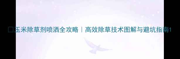 图片 🌽玉米除草剂喷洒全攻略｜高效除草技术图解与避坑指南1