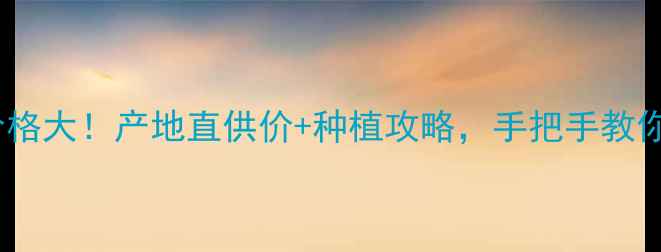 图片 🌽辛集玉米棒价格大！产地直供价+种植攻略，手把手教你选优质玉米棒1