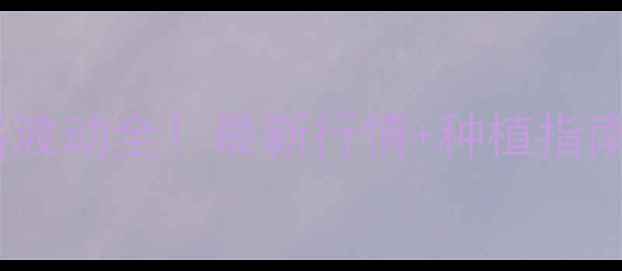 图片 🌽陕西鲜玉米价格波动全！最新行情+种植指南，农民必看！🌽2