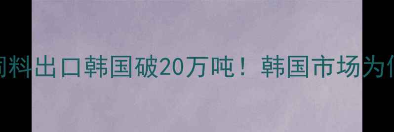 图片 🌾中国玉米蛋白饲料出口韩国破20万吨！韩国市场为何疯狂抢购？🇰🇷