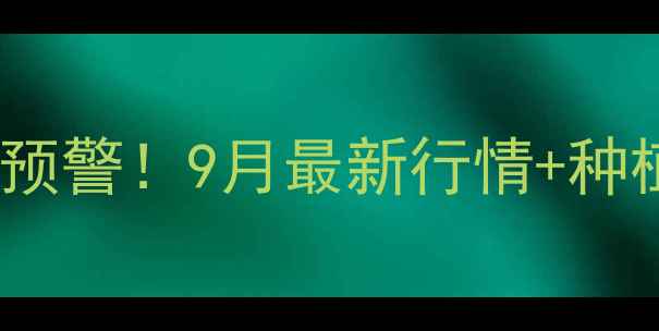 图片 🌾云南玉米价格波动预警！9月最新行情+种植建议，附价格表💰2