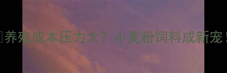 图片 🌾养殖成本压力大？小麦粉饲料成新宠！