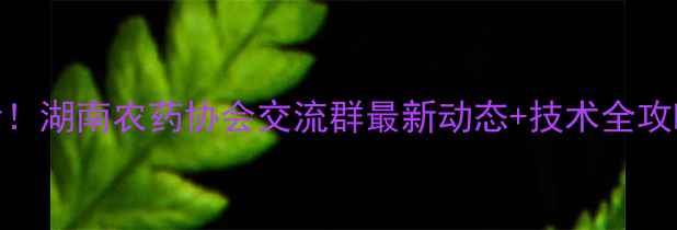 图片 🌾农药行业人必看！湖南农药协会交流群最新动态+技术全攻略（附入群通道）