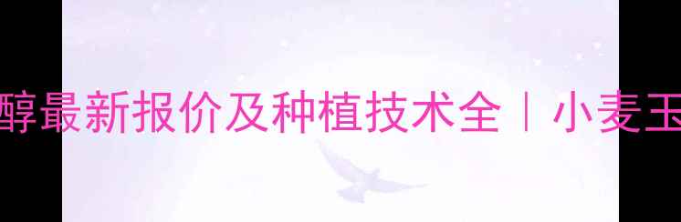 图片 🌾劲兴氰烯戊唑醇最新报价及种植技术全｜小麦玉米水稻杀菌指南