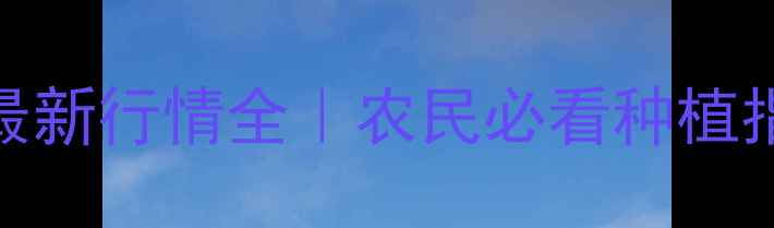 图片 🌾咸阳市玉米价格最新行情全｜农民必看种植指南+市场趋势预测1