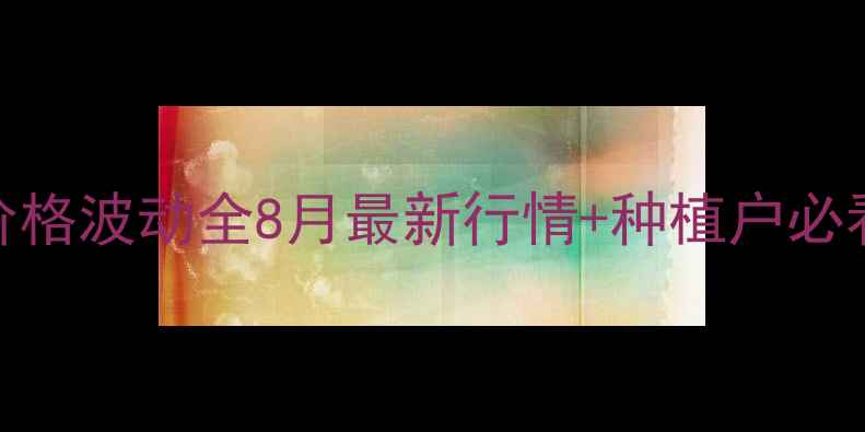 图片 🌾宁夏玉米价格波动全8月最新行情+种植户必看避坑指南🌾