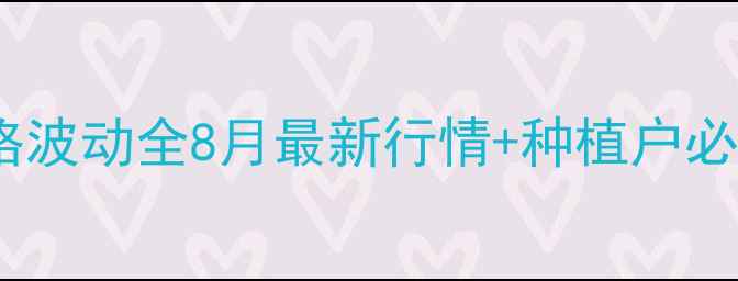 图片 🌾宁夏玉米价格波动全8月最新行情+种植户必看避坑指南🌾2
