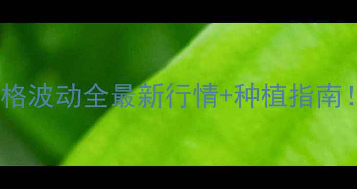 图片 🌾安徽菜籽价格波动全最新行情+种植指南！农民必看💰1