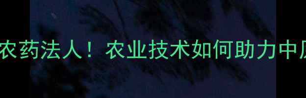 图片 🌾安阳国丰农药法人！农业技术如何助力中原粮仓？🌾2