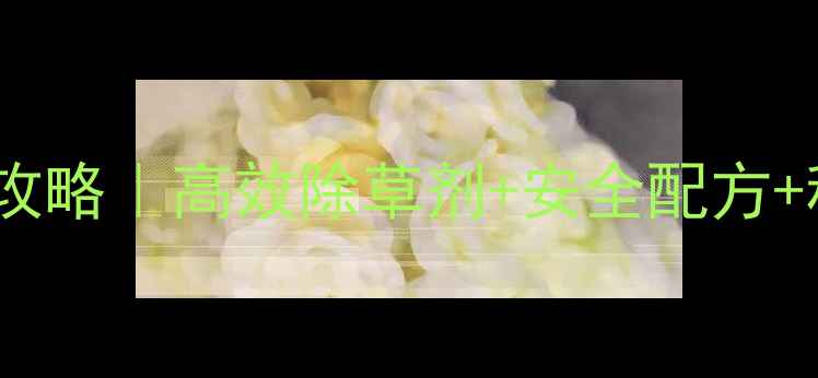 图片 🌾小麦地看麦娘除草全攻略｜高效除草剂+安全配方+种植技巧（附案例）🔥2