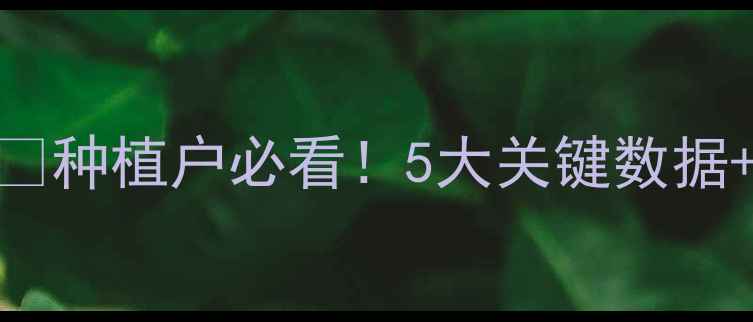 图片 🌾德州玉米价格今日大波动！🌾💰种植户必看！5大关键数据+未来趋势预测（附最新报价表）