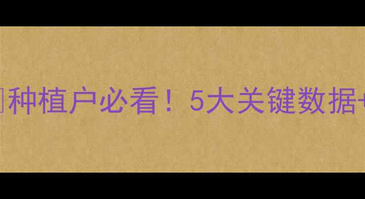 图片 🌾德州玉米价格今日大波动！🌾💰种植户必看！5大关键数据+未来趋势预测（附最新报价表）2