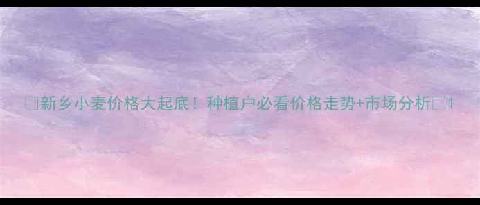 图片 🌾新乡小麦价格大起底！种植户必看价格走势+市场分析💰1