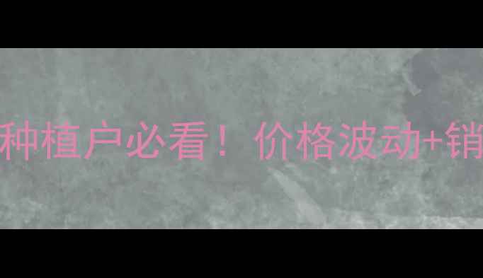 图片 🌾昌乐玉米价格行情全｜种植户必看！价格波动+销售技巧+政策补贴全公开2