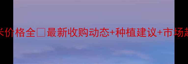 图片 🌾河北平泉市新玉米价格全💰最新收购动态+种植建议+市场趋势（附详细数据）