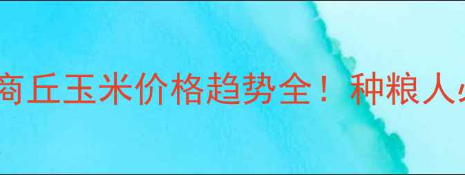 图片 🌾河南商丘玉米价格趋势全！种粮人必看！2