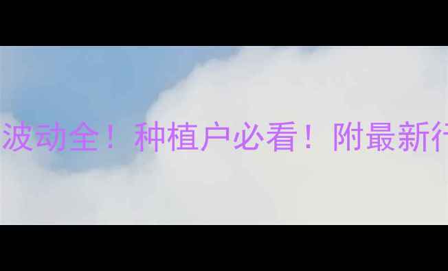 图片 🌾油菜籽价格波动全！种植户必看！附最新行情+种植技巧