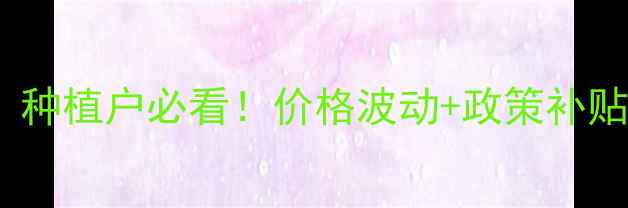 图片 🌾湖北小麦价格全｜种植户必看！价格波动+政策补贴+市场趋势都在这📈