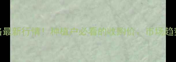 图片 🌾濮阳玉米价格最新行情！种植户必看的收购价、市场趋势与种植建议💰