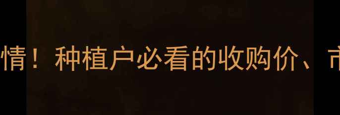 图片 🌾濮阳玉米价格最新行情！种植户必看的收购价、市场趋势与种植建议💰1