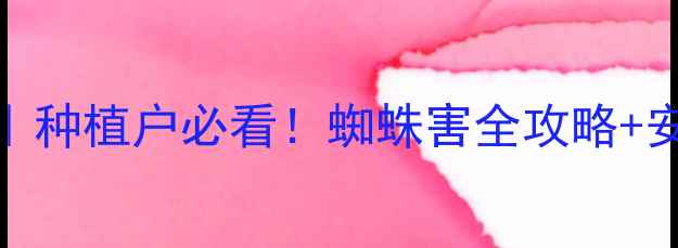 图片 🌾灭蜘蛛农药高效安全指南｜种植户必看！蜘蛛害全攻略+安全用药技巧（附避坑清单）