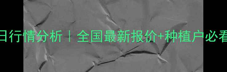 图片 🌾玉米价格今日行情分析｜全国最新报价+种植户必看应对策略💰📈