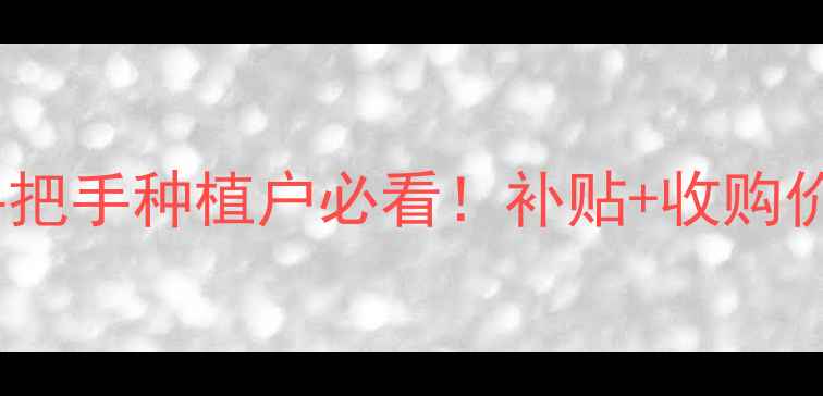 图片 🌾玉米价格新政策手把手种植户必看！补贴+收购价+市场趋势全攻略🌾