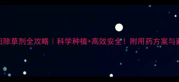 图片 🌾玉米田除草剂全攻略｜科学种植+高效安全！附用药方案与避坑指南