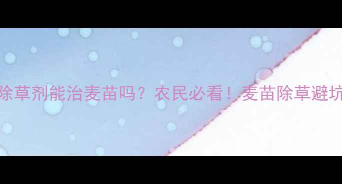 图片 🌾玉米除草剂能治麦苗吗？农民必看！麦苗除草避坑指南🌾