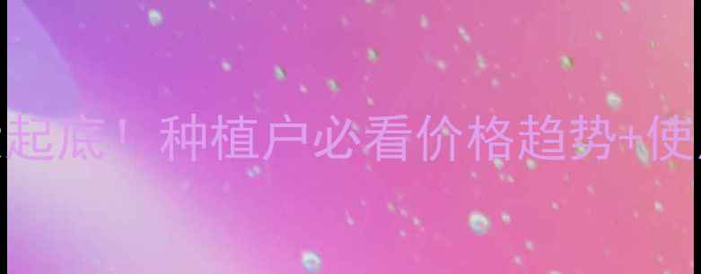 图片 🌾甲基碘磺隆价格大起底！种植户必看价格趋势+使用技巧+效果对比🌾2