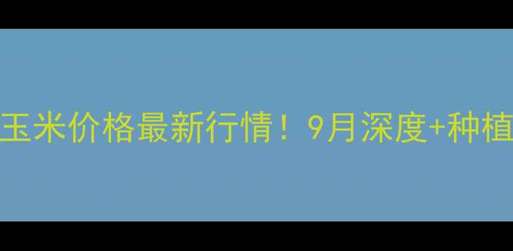 图片 🌾睢县玉米价格最新行情！9月深度+种植建议🌾