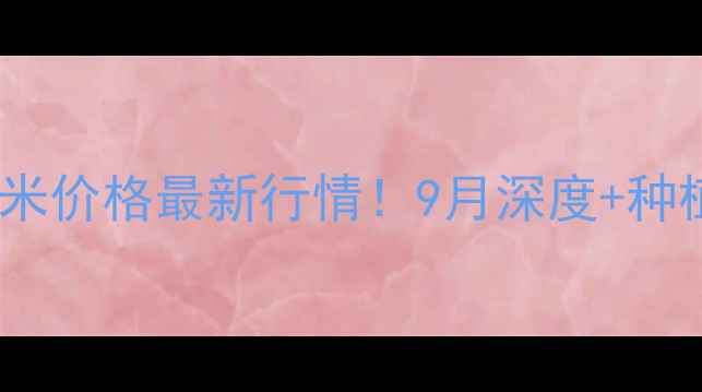 图片 🌾睢县玉米价格最新行情！9月深度+种植建议🌾1