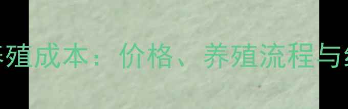 图片 🌾荷兰牧羊犬养殖成本：价格、养殖流程与经济效益全指南