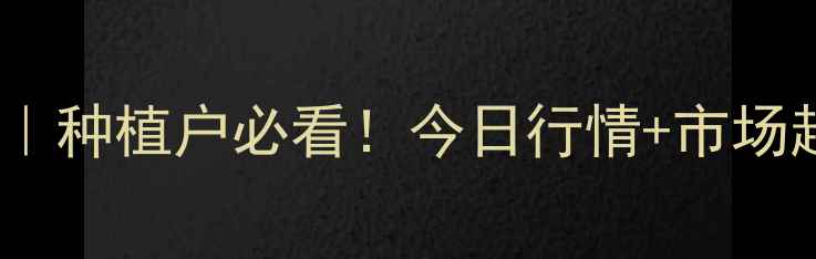 图片 🌾蚌埠玉米价格全｜种植户必看！今日行情+市场趋势+政策补贴攻略