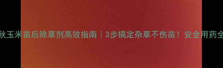 图片 🌾金秋玉米苗后除草剂高效指南｜3步搞定杂草不伤苗！安全用药全攻略