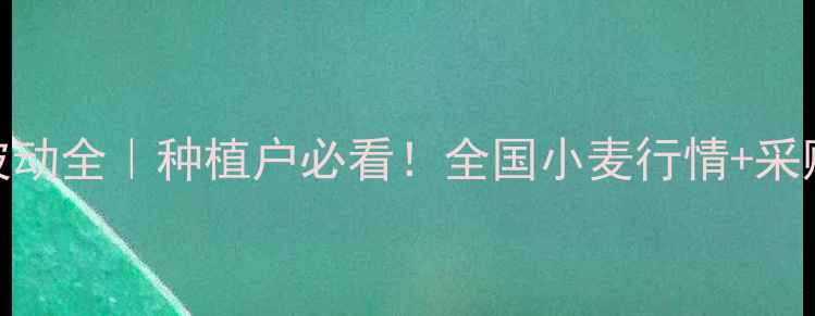 图片 🌾面粉价格波动全｜种植户必看！全国小麦行情+采购避坑指南💰