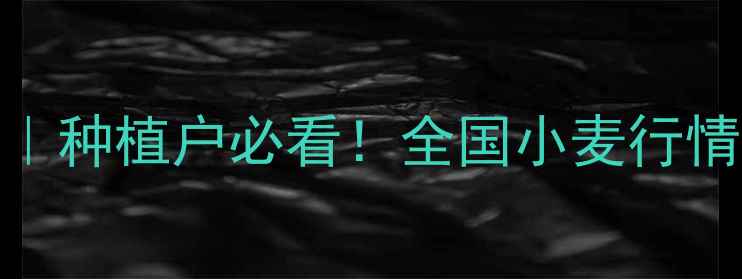 图片 🌾面粉价格波动全｜种植户必看！全国小麦行情+采购避坑指南💰1