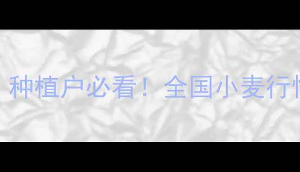 图片 🌾面粉价格波动全｜种植户必看！全国小麦行情+采购避坑指南💰2