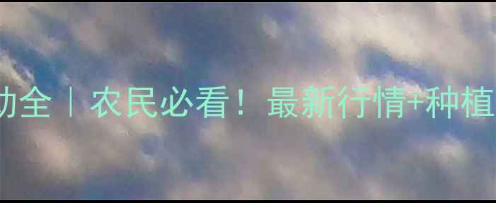 图片 🌾麦麸价格波动全｜农民必看！最新行情+种植建议+市场趋势