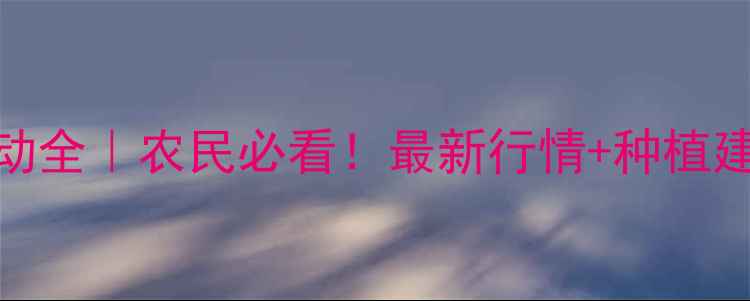 图片 🌾麦麸价格波动全｜农民必看！最新行情+种植建议+市场趋势2