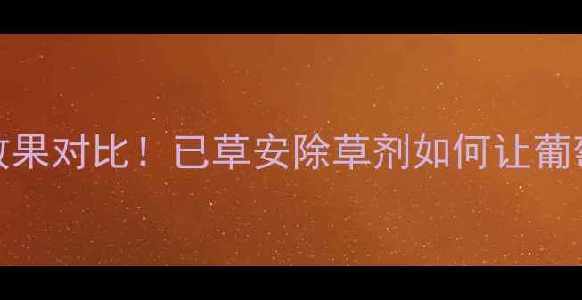 图片 🌿5大使用技巧+效果对比！已草安除草剂如何让葡萄园省心又高效？