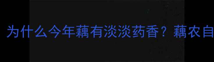 图片 🌿新藕上市季节到！为什么今年藕有淡淡药香？藕农自述真实种植故事🌱1
