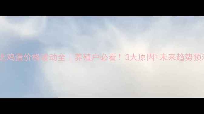 图片 🍗湖北鸡蛋价格波动全｜养殖户必看！3大原因+未来趋势预测📈1