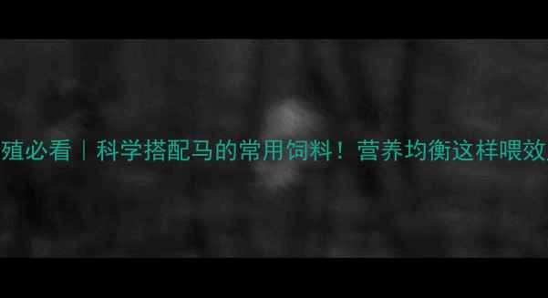 图片 🐴马匹养殖必看｜科学搭配马的常用饲料！营养均衡这样喂效益翻倍💪