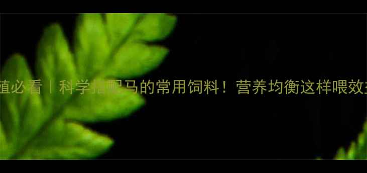 图片 🐴马匹养殖必看｜科学搭配马的常用饲料！营养均衡这样喂效益翻倍💪1