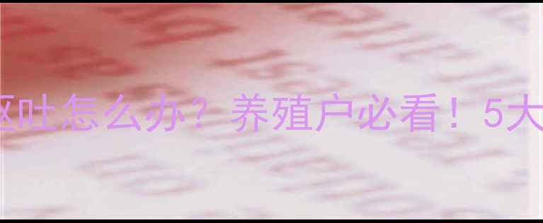 图片 🐷⚠️猪换饲料呕吐怎么办？养殖户必看！5大原因+解决方案全