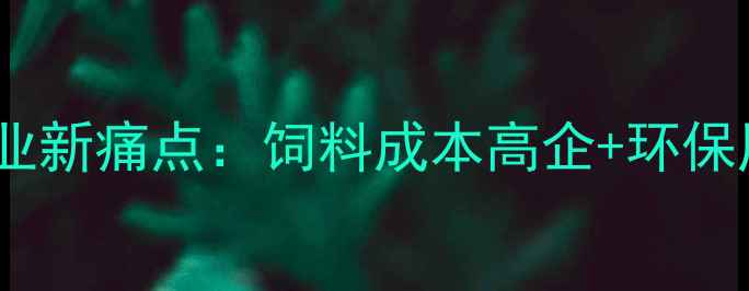 图片 💡养殖行业新痛点：饲料成本高企+环保压力暴增1
